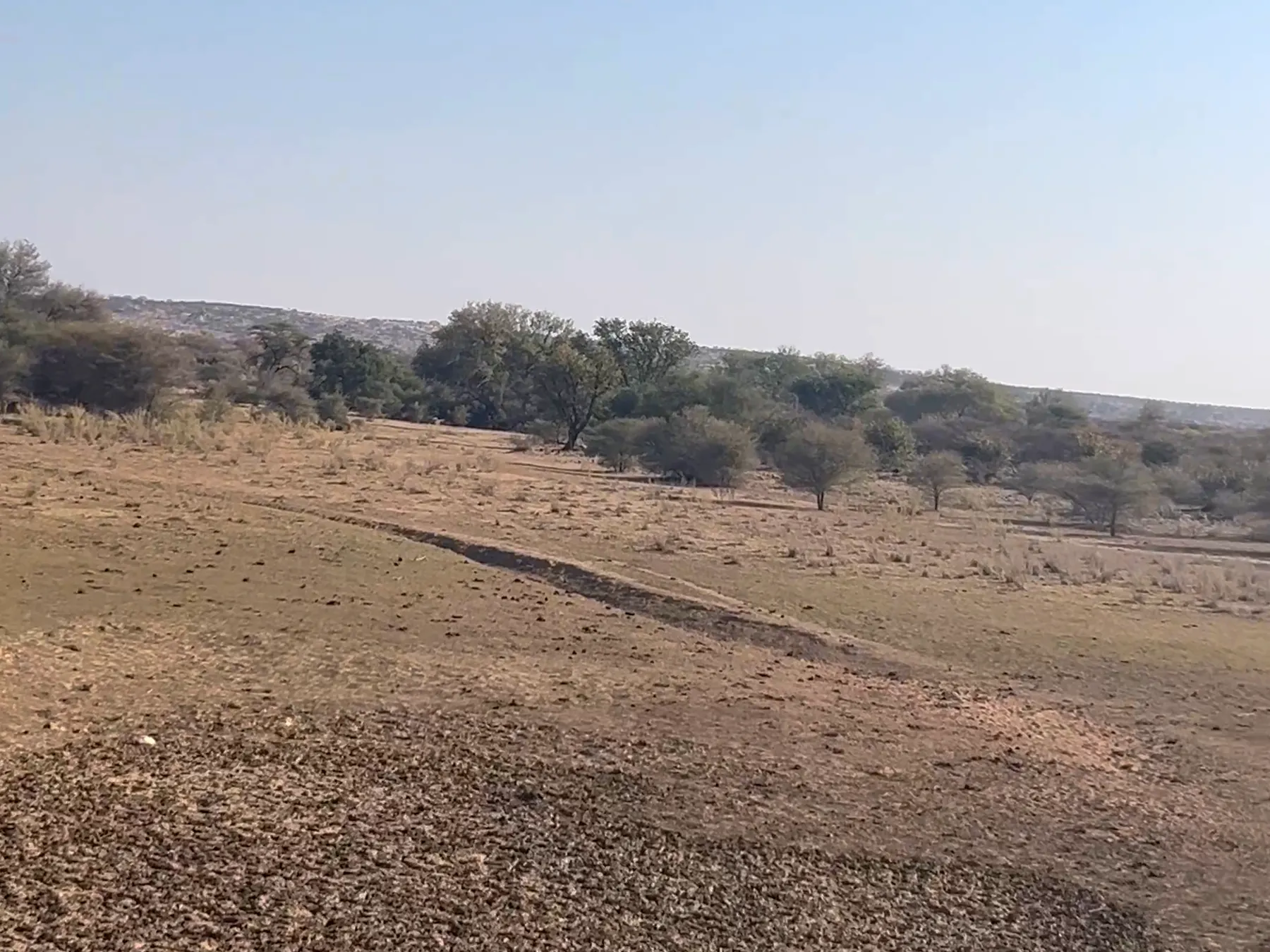 The open veld and the pan